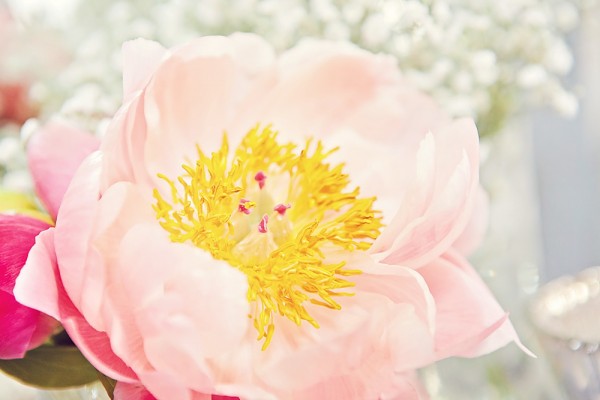 Blanccoco_photographe-411