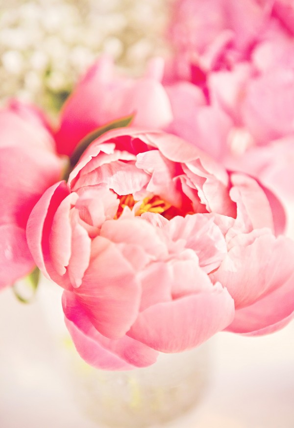 Blanccoco_photographe-507