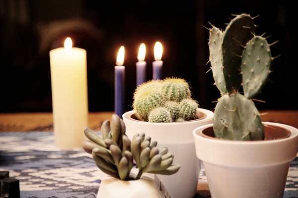 mariage hiver (11)