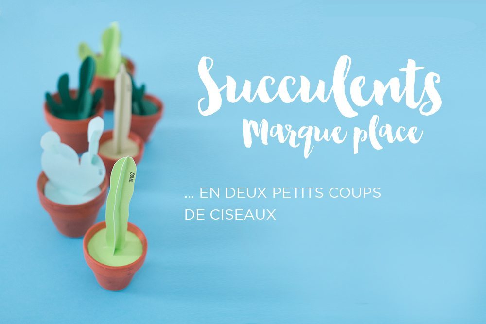 Succulents marques-place