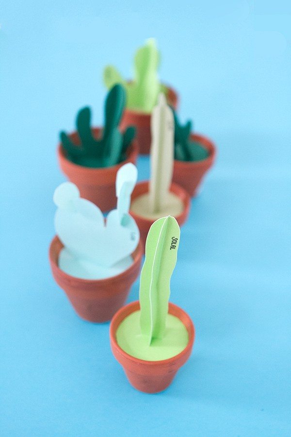 DIY-cactus-002