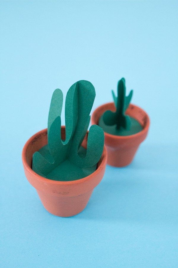 DIY-cactus-004g