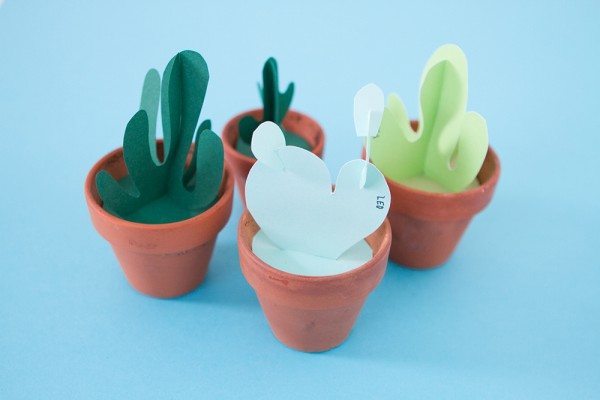 DIY-cactus-005