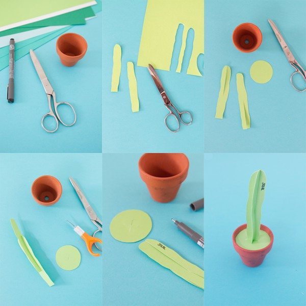 DIY-cactus-how-to