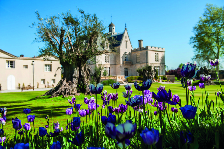 (Français) Château Pape Clément