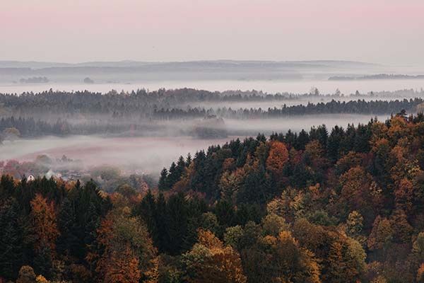 mariage nature automnal Alsace