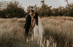 Pipay & Reda